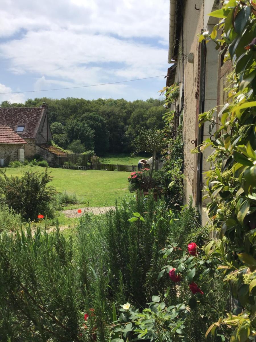 Le Domaine - Housity