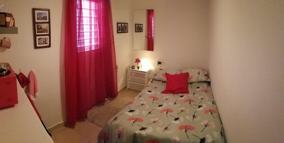 Aché Tropical Studio@white-Red - Housity