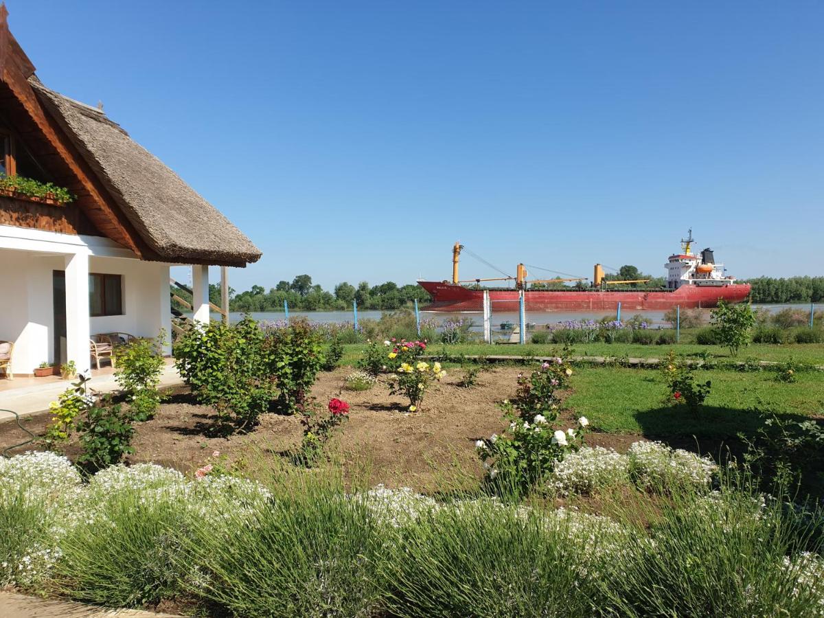 La Raducu - Housity