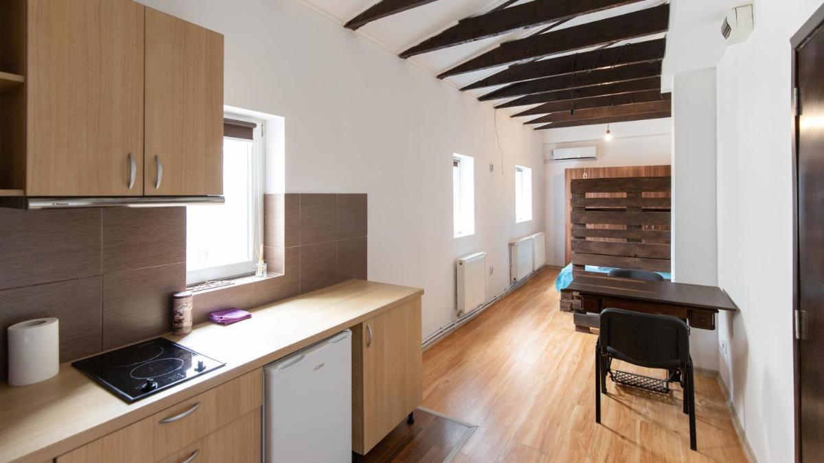 Nicole's Dorobanti Studio - Housity