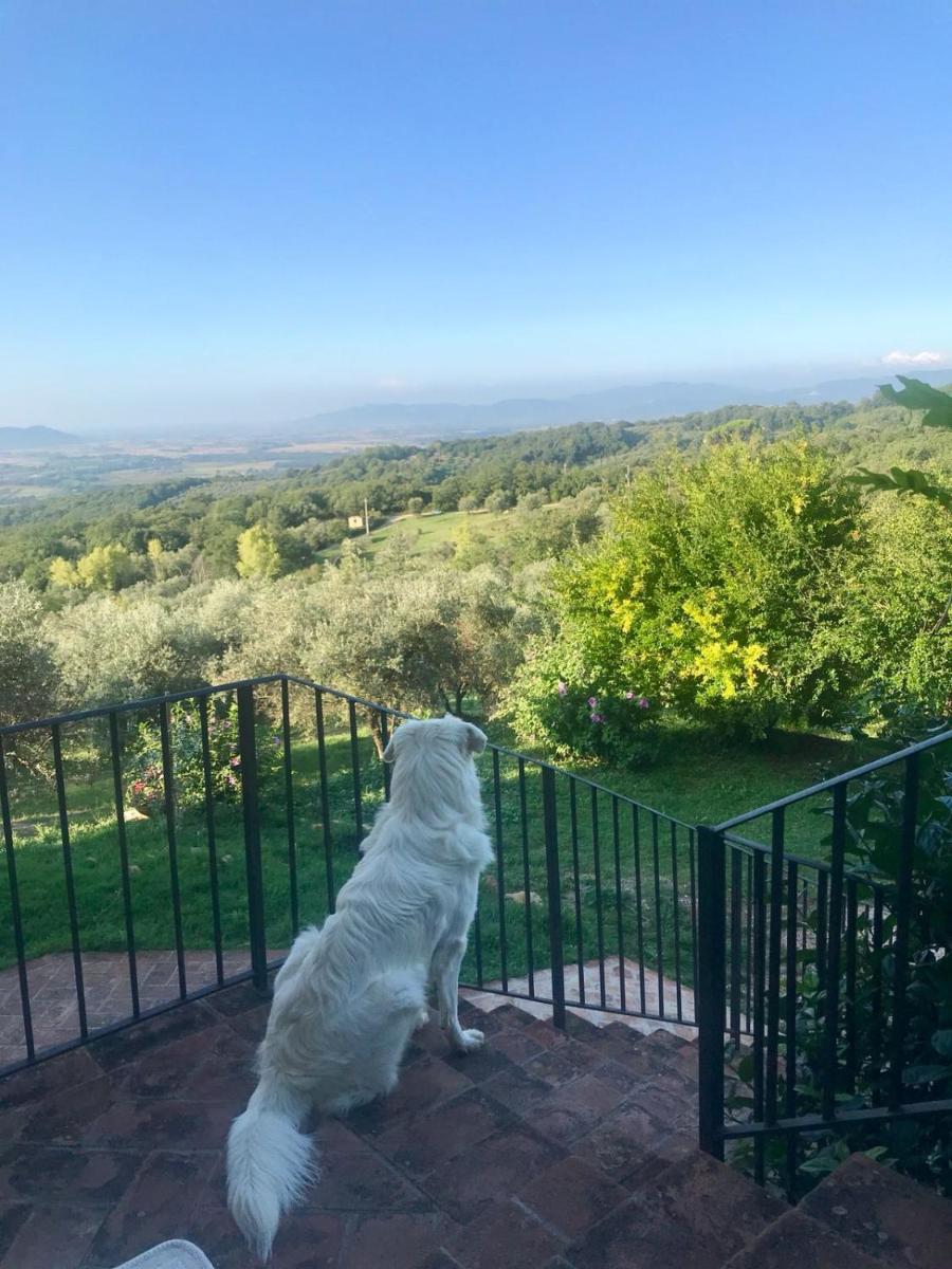 Agriturismo Campo al Crognolo - Housity