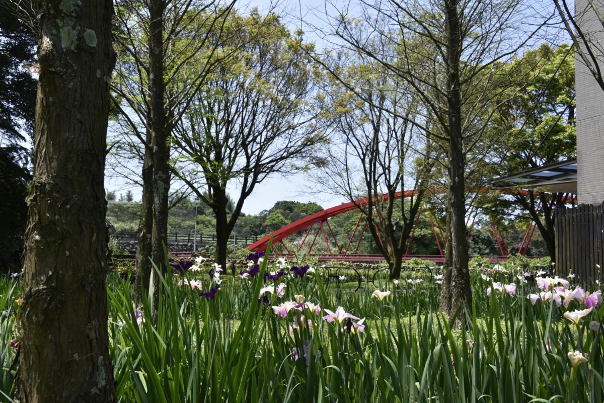 Rainbow Bridge B&B - Housity