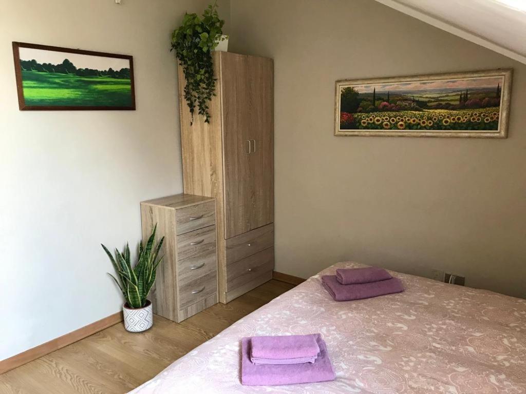 Apartment Carlo Alberto - Housity