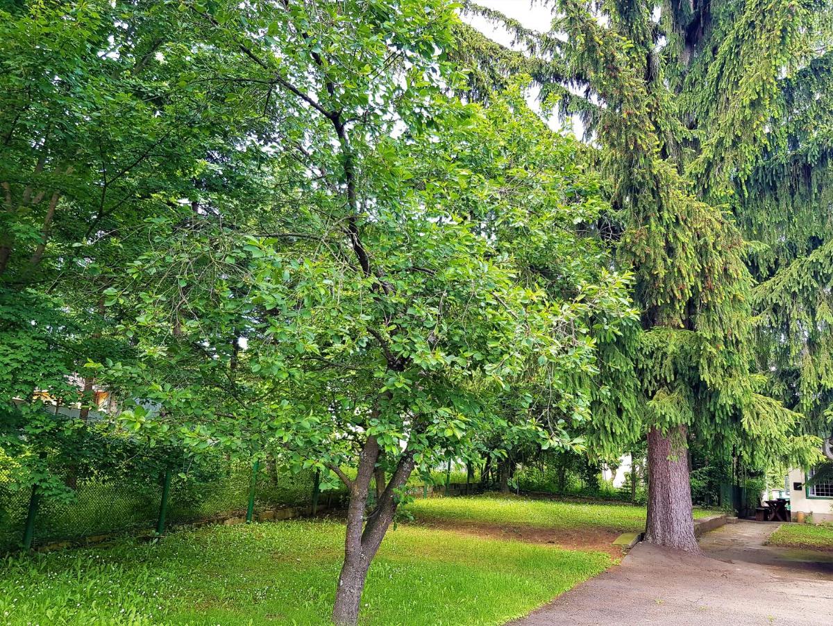 Muskátli Üdülőház - Housity