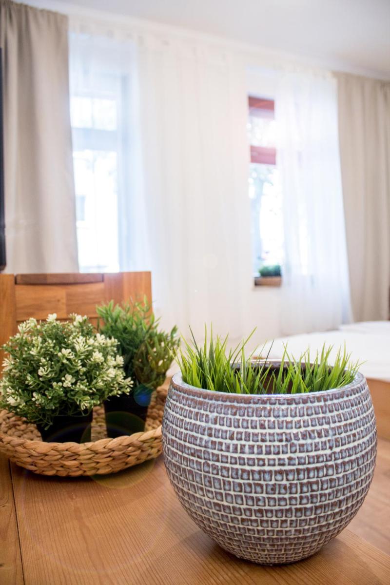 Apartment Dora - Housity
