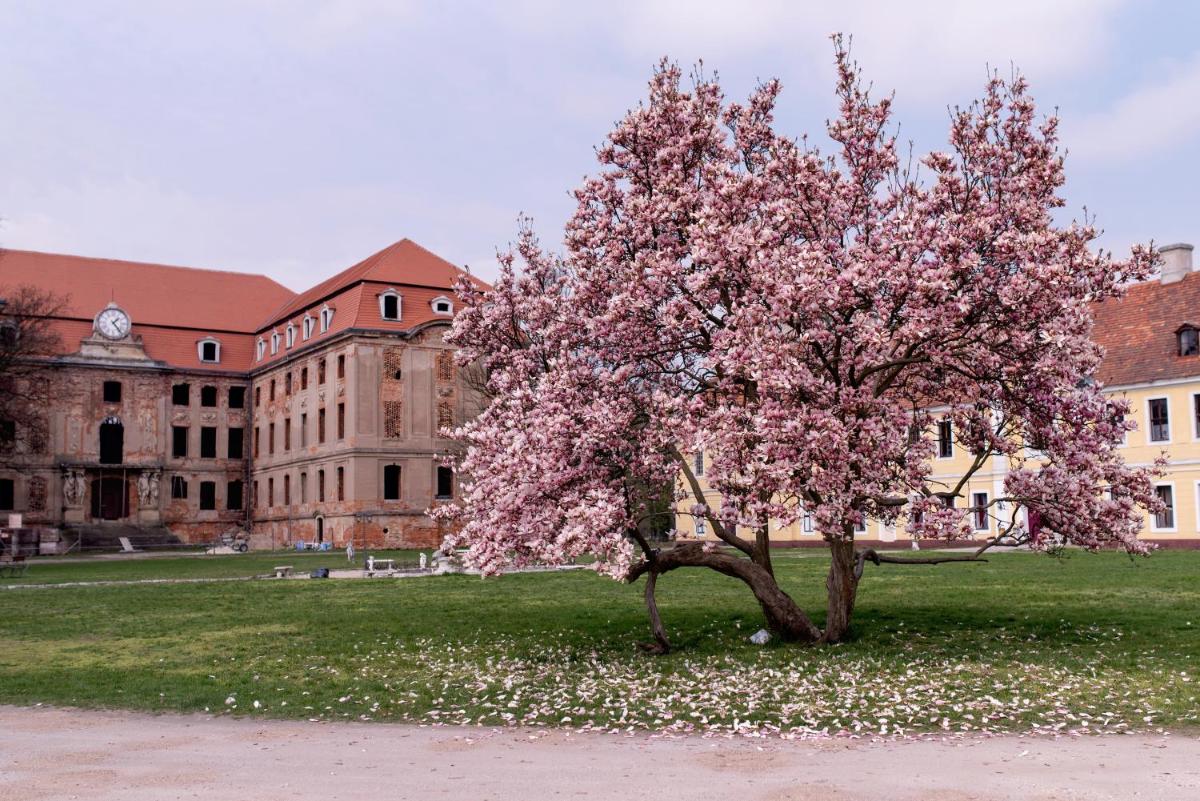Pałac Brody - Housity