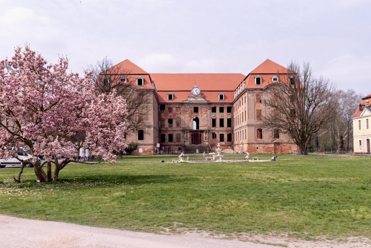 Pałac Brody - Housity