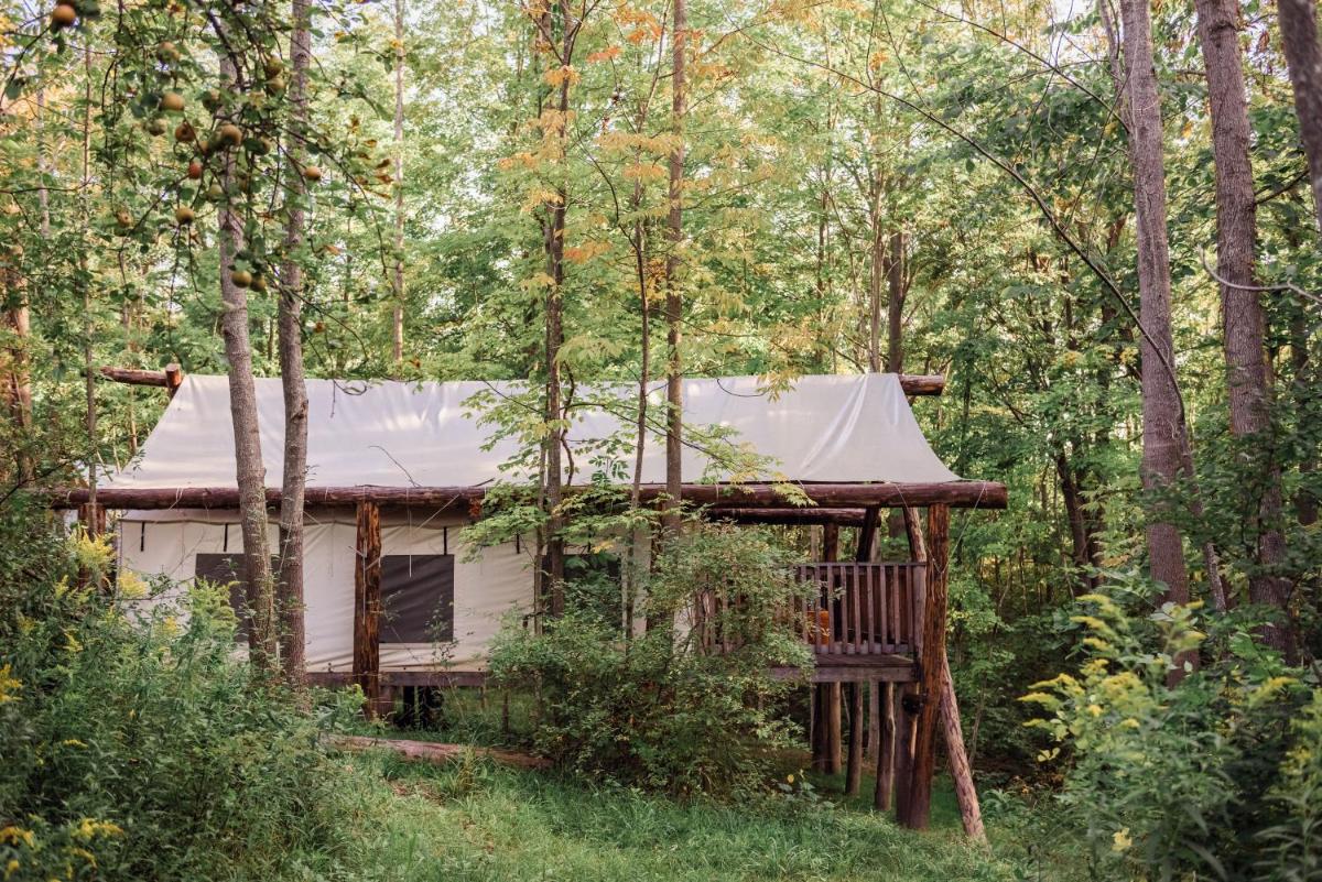 Firelight Camps - Housity