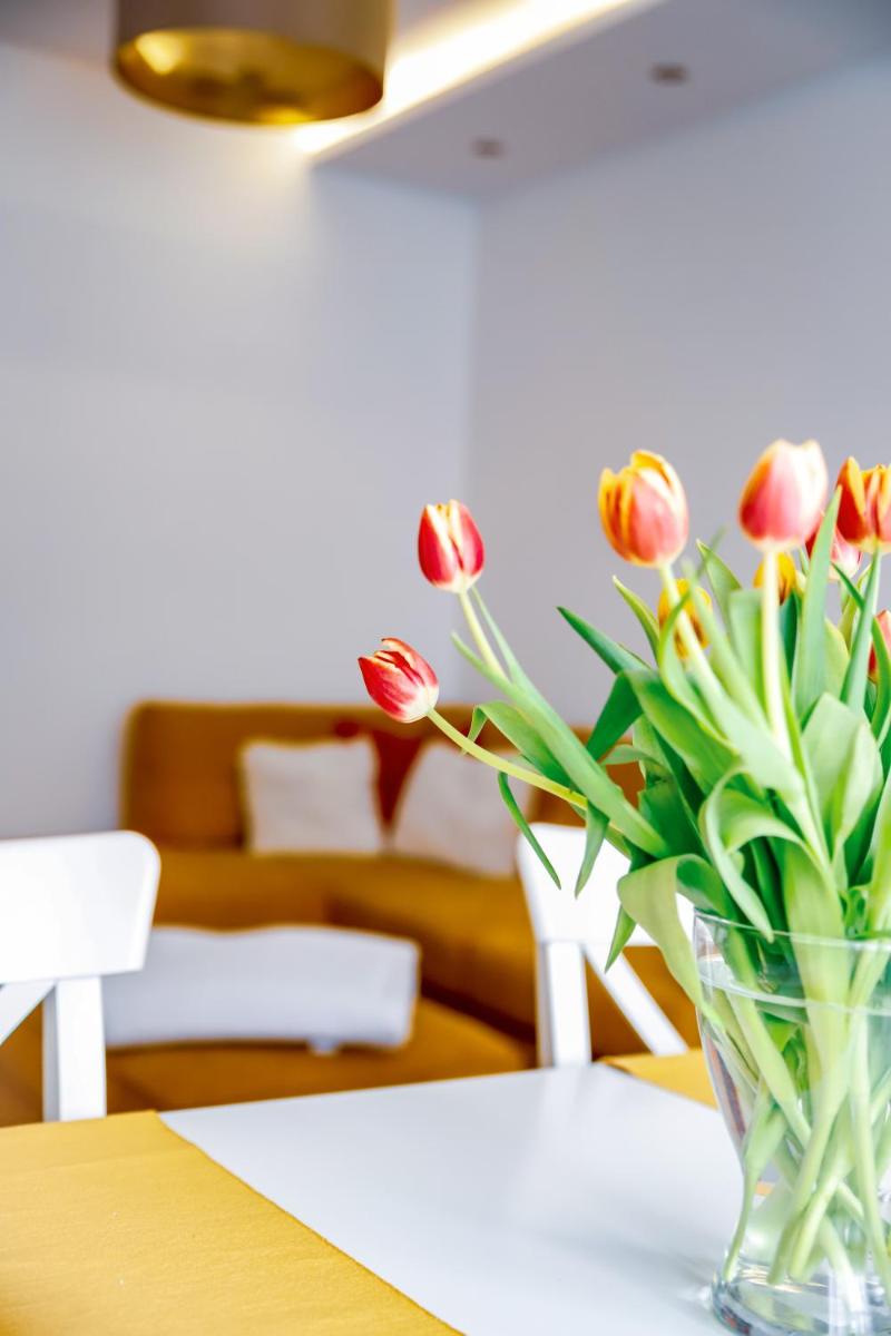 Cozy apartment in the downtown - Housity