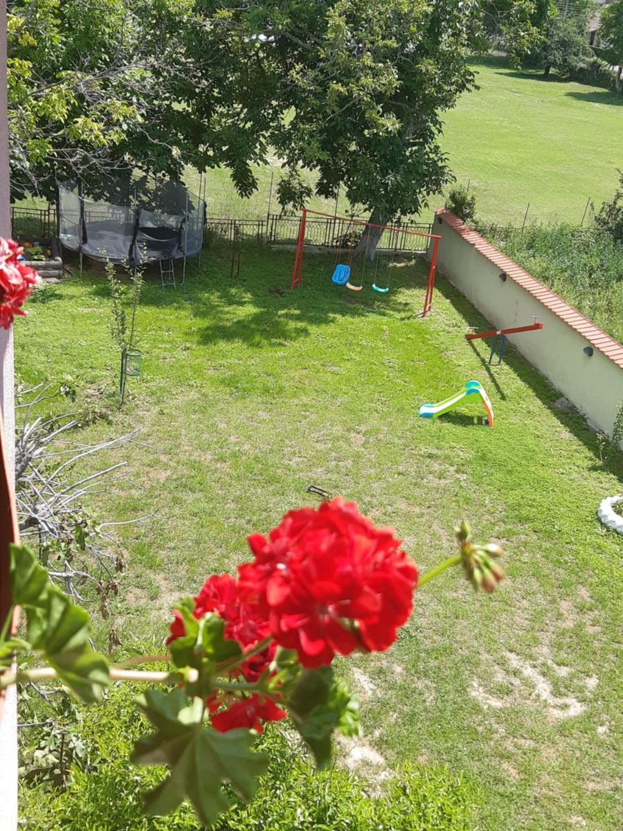 Apartments Ana - Housity