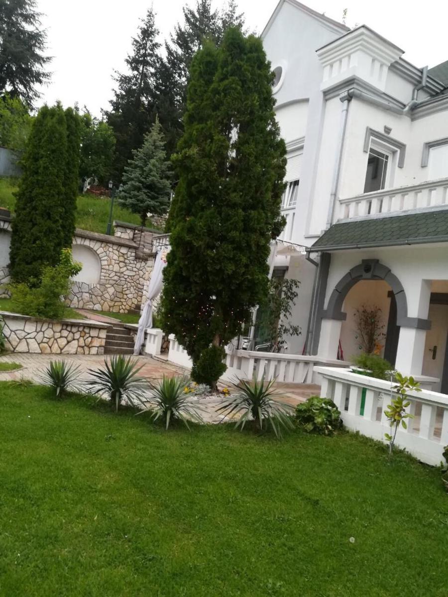 Vila Kraljica Vrdnik - Housity