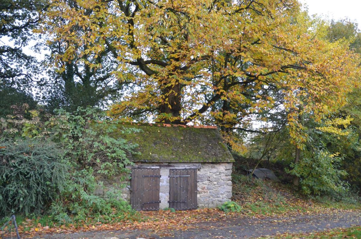 Kerollivier - Housity