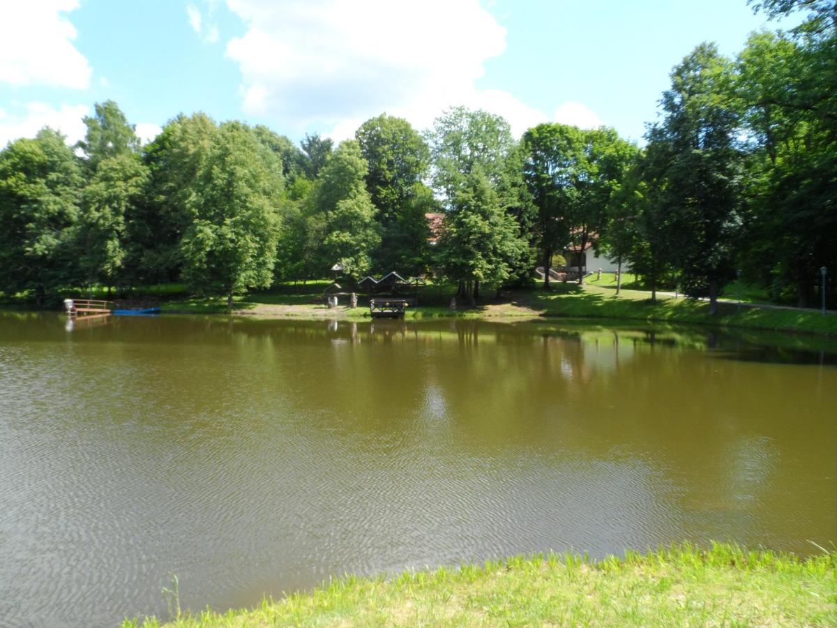 Senieji Bačkonys - Housity
