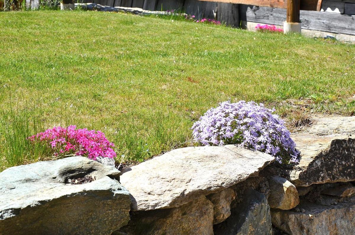 Holiday house with garden and enchanting view - Housity