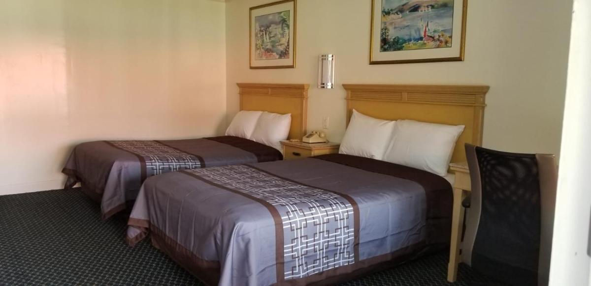 Budget Lodge - Housity