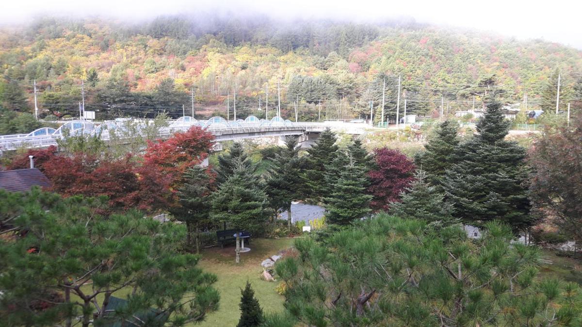 Starvill Pension - Housity