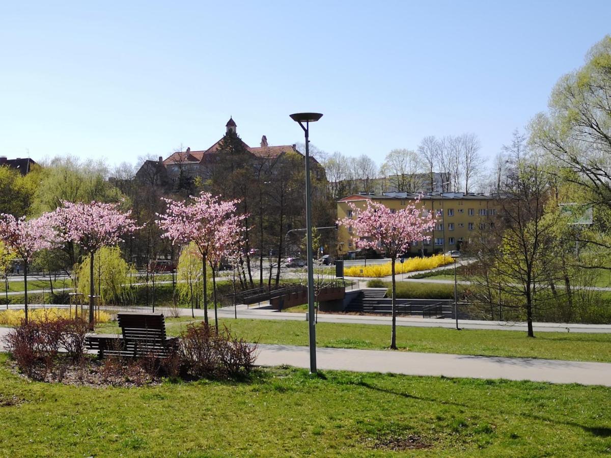 Villa Garden Paryski - Housity