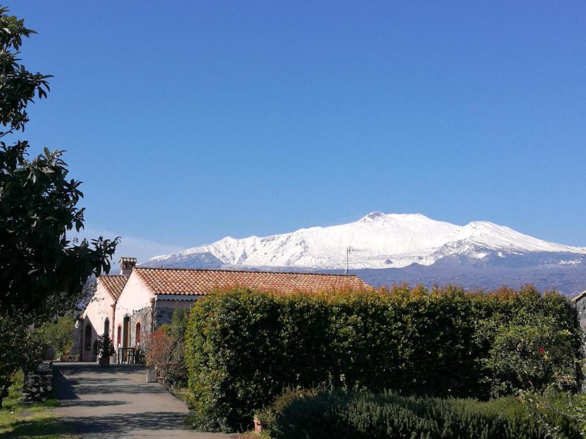 Agriturismo Galea - Hizvo