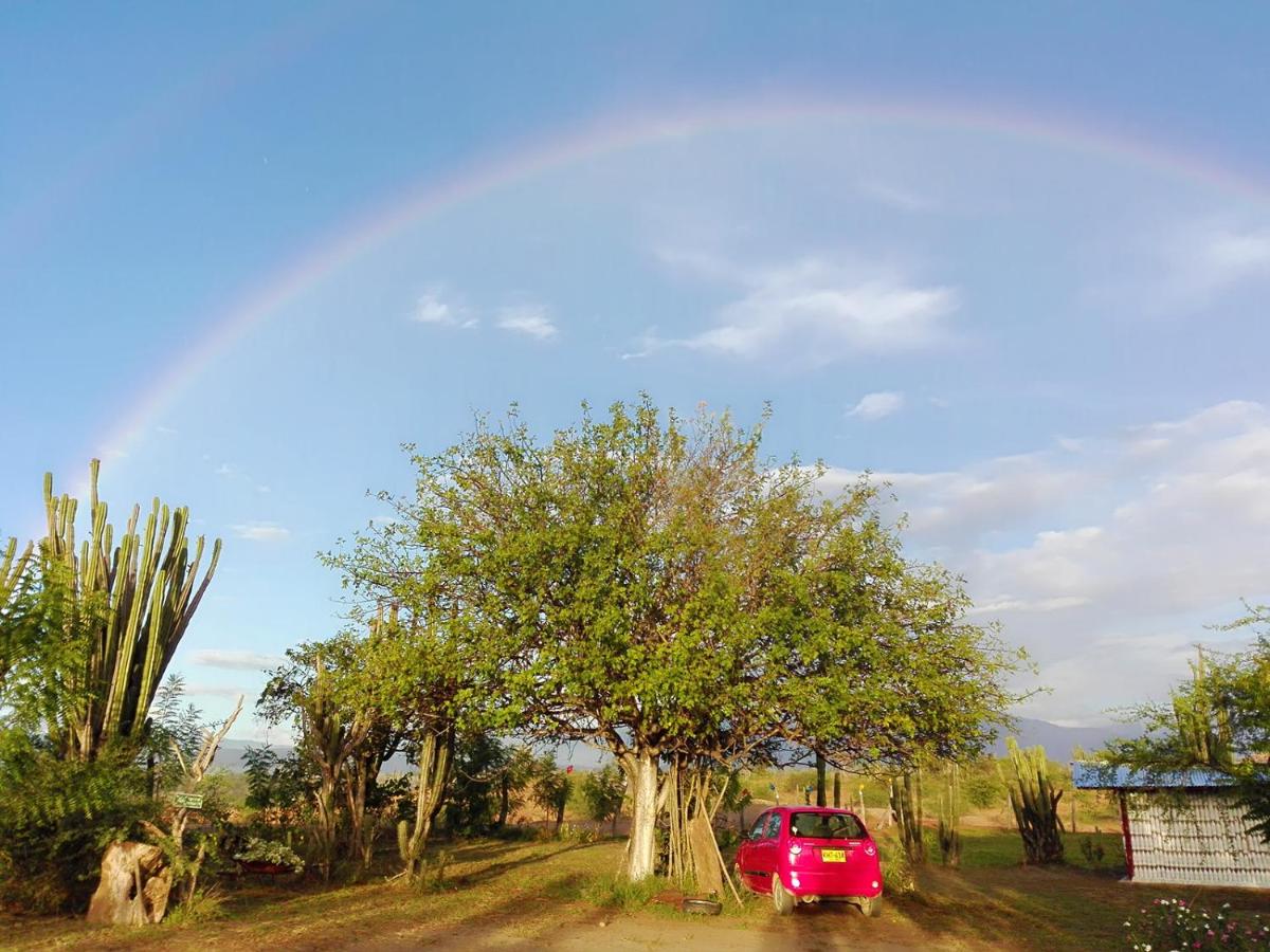 Alojamiento Casa de campo los Cactus - Housity
