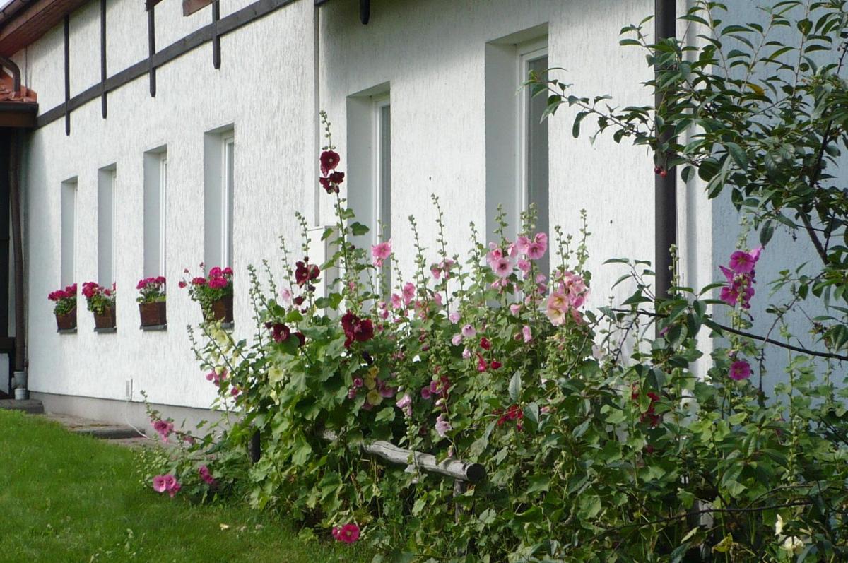 Dylewianka - Housity