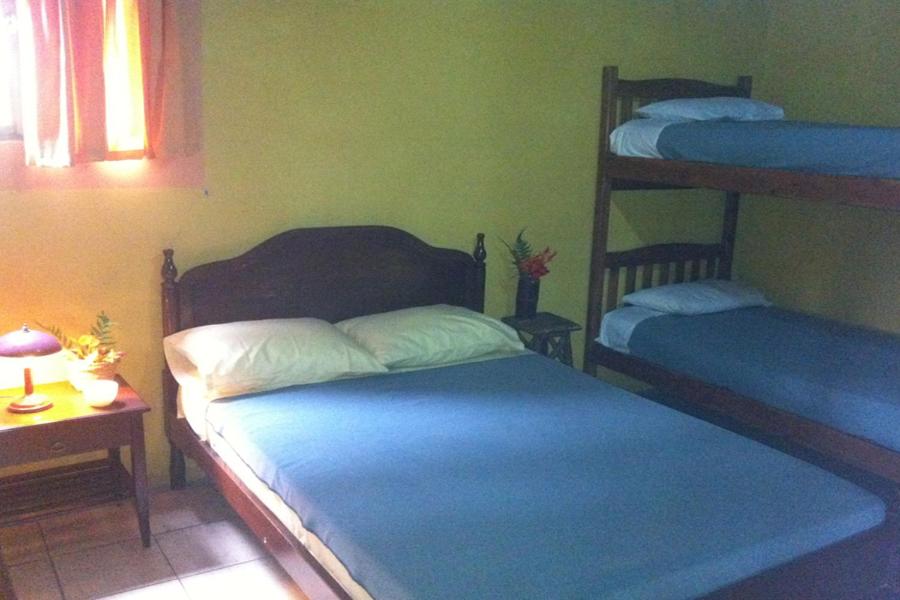Ecovita Organic Lodge & Farm - Housity