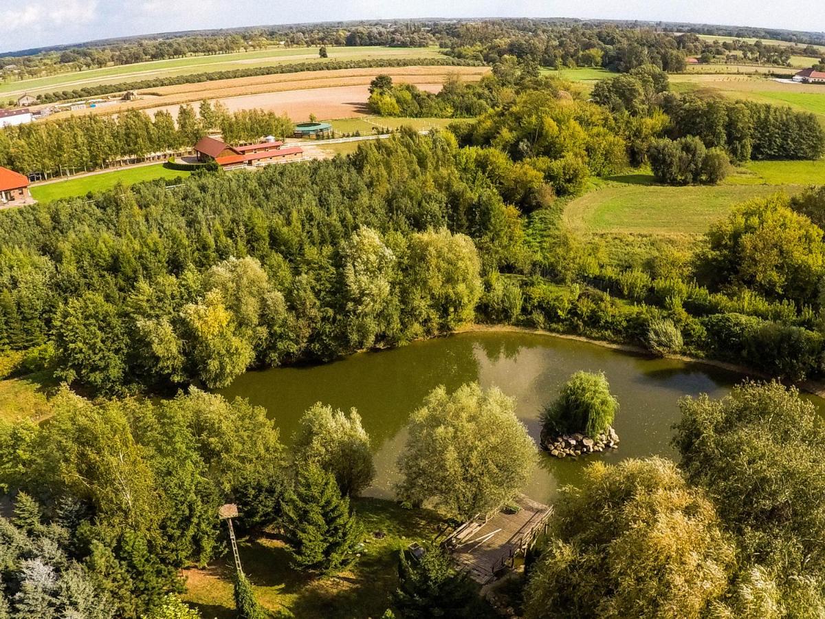 Villa Żelazowa Wola - Housity