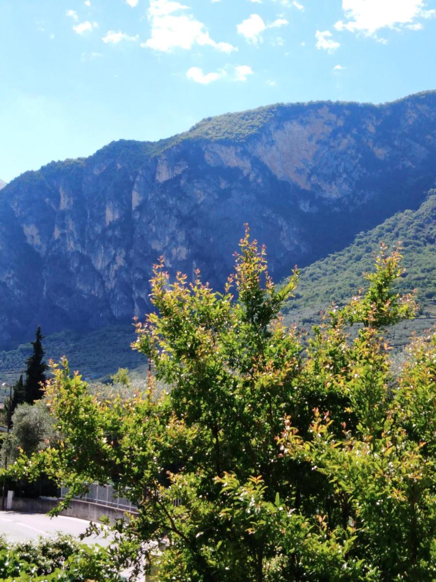 Casa Akira - Housity