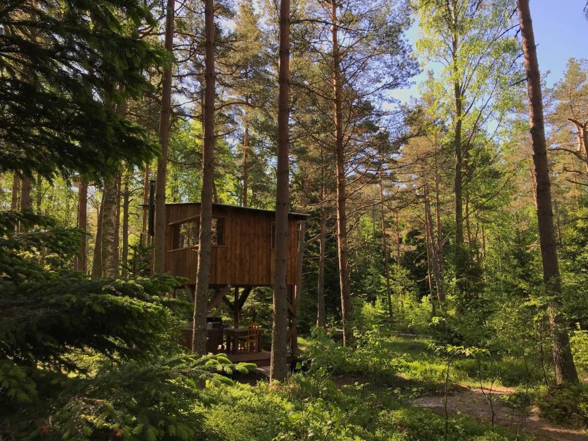 Tahkuna Tree House - Housity