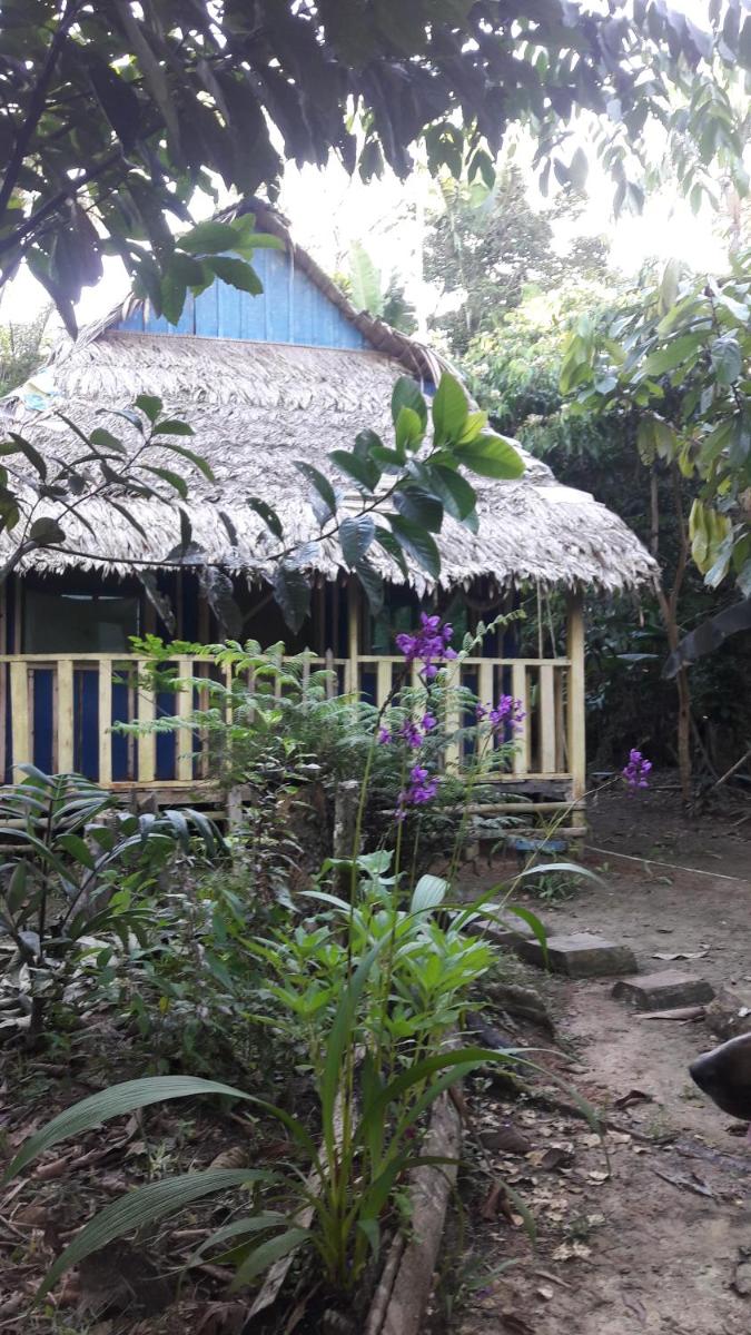 Omshanty Jungle Lodge - Housity