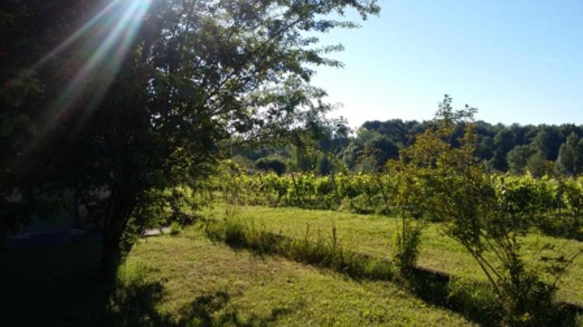 La Petite Auberge - Housity