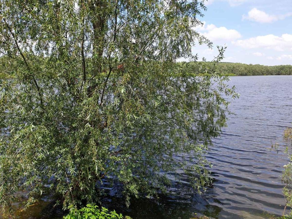 B&B Bela Vrba - Housity