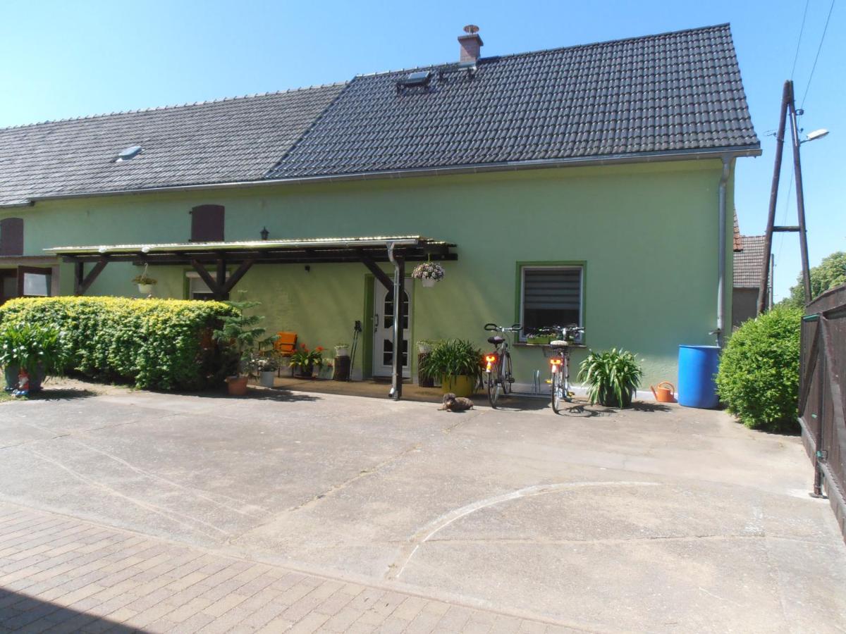 Ferienhaus Golm, 04924 Zobersdorf - Housity