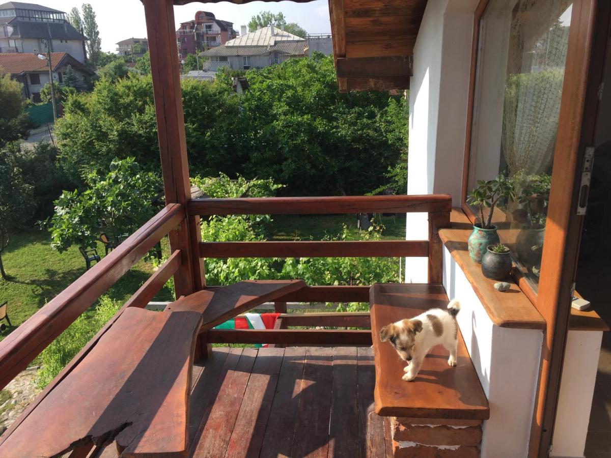 Sinemoria Guest House - Housity