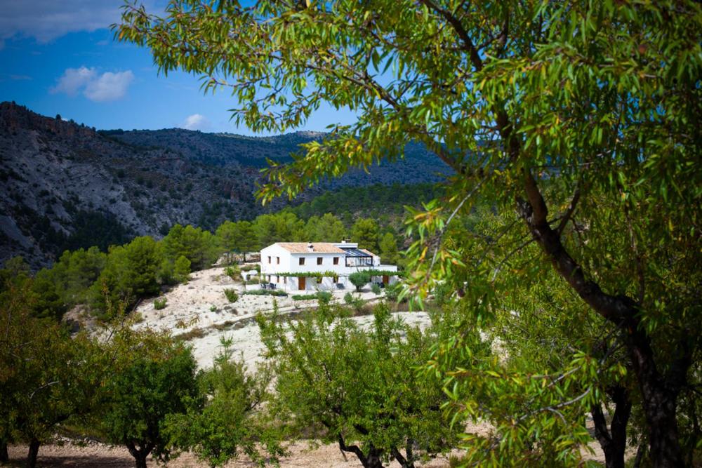 Cortijo Blanco - Housity
