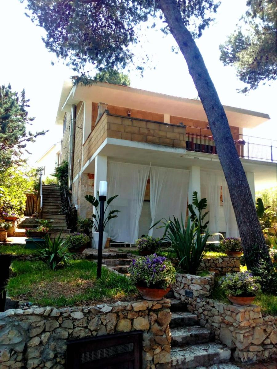 Wunderkammer b&b - Housity