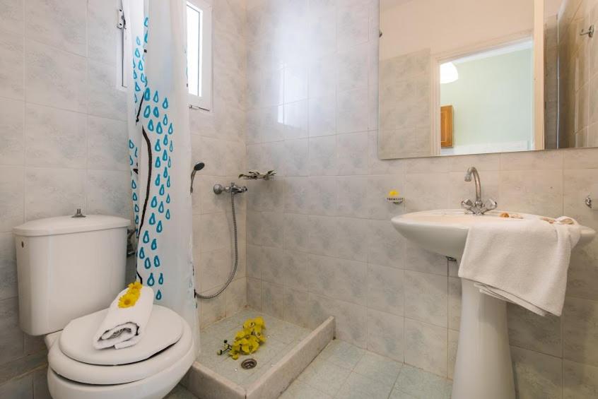 Hotel Plessas Palace - Housity