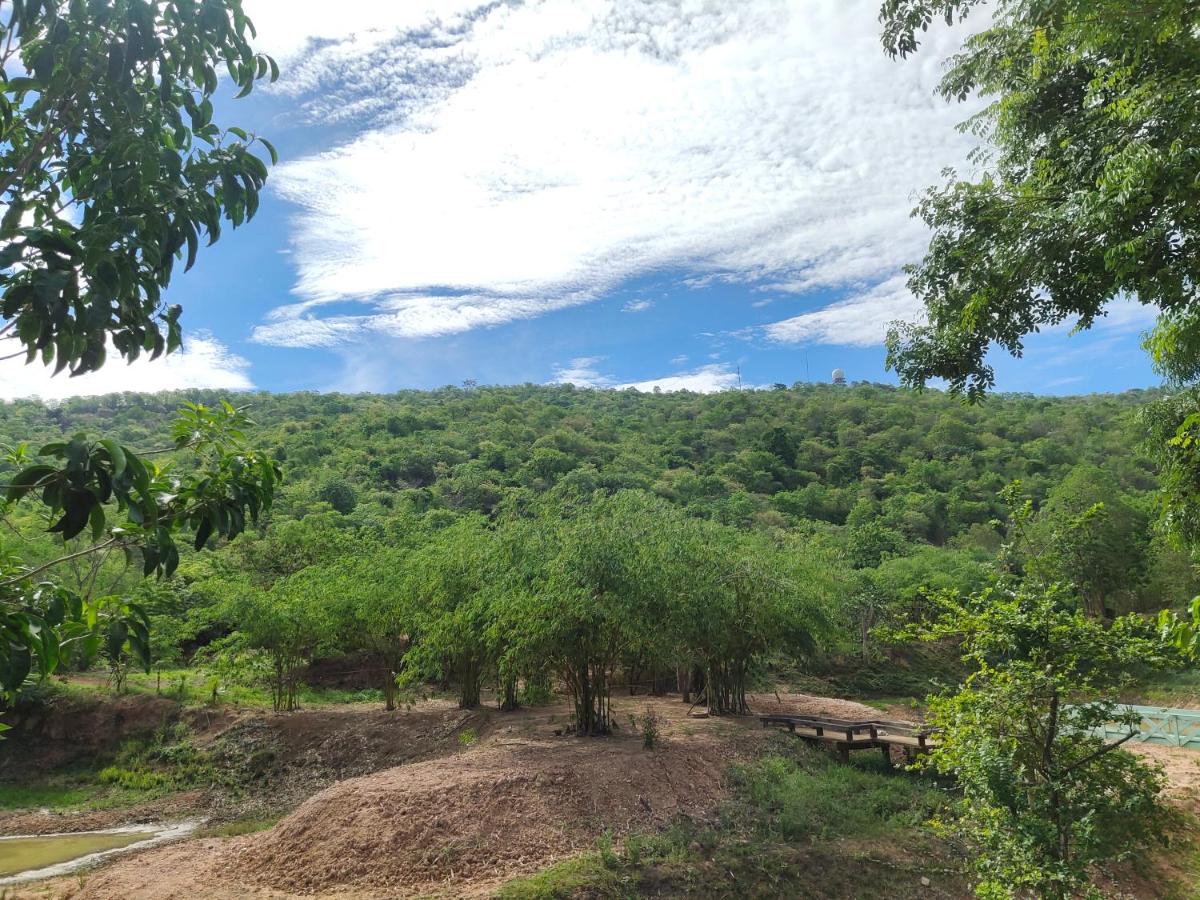 Mamaungpaa Hill resort - Housity