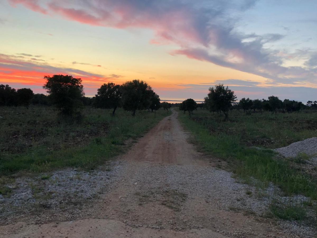 Tenuta De Luca - Housity
