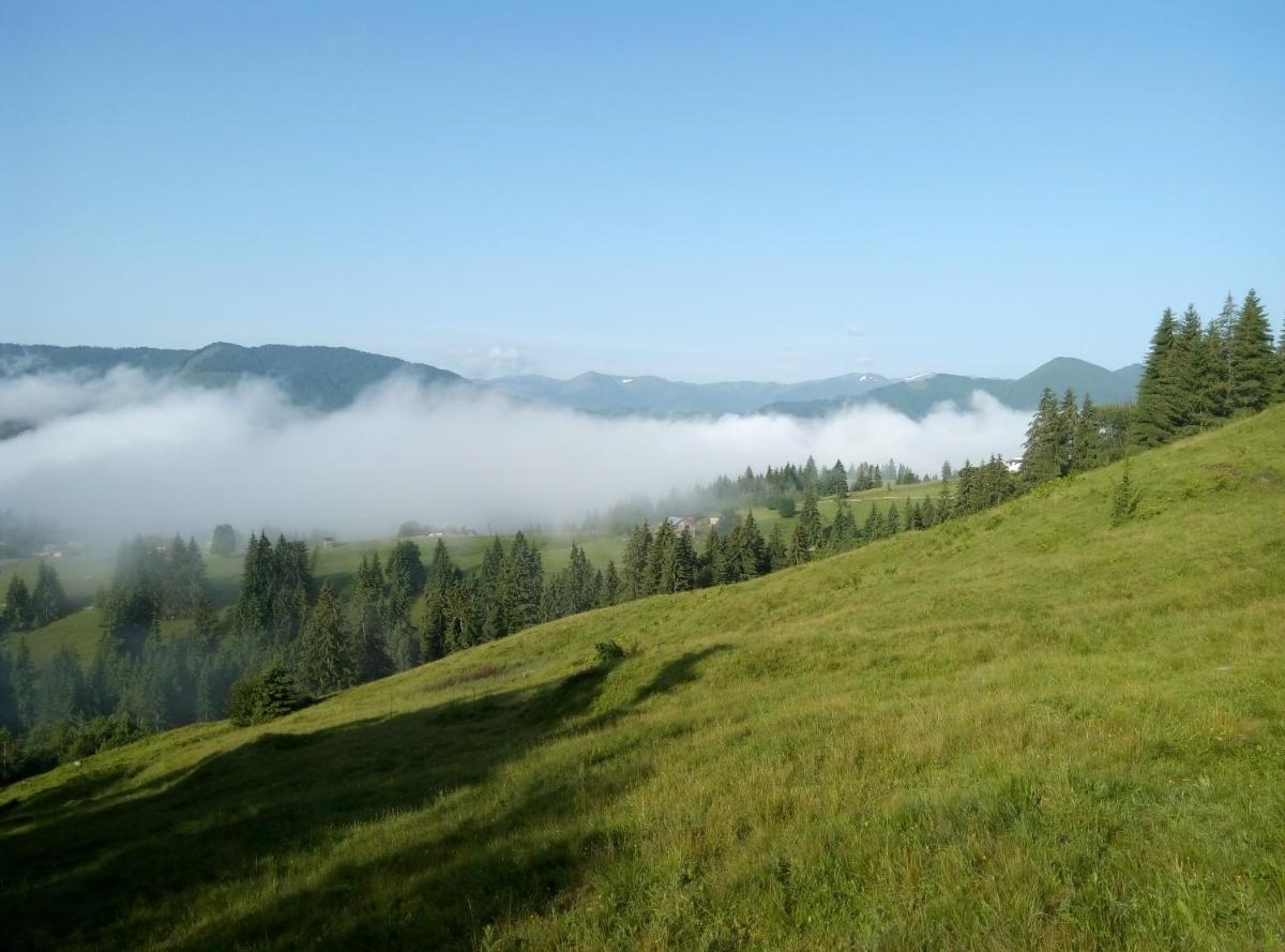 Karpatskiy Maetok - Housity