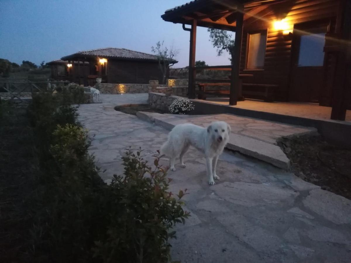 Villaggio San Demetrio - Housity