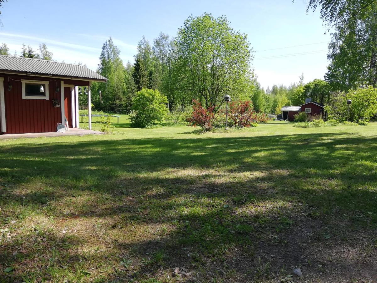 Dacha Juva - Housity
