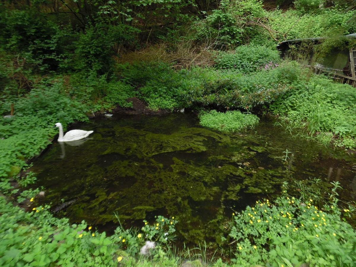 Naturlandschaft in der Nähe des Hotels