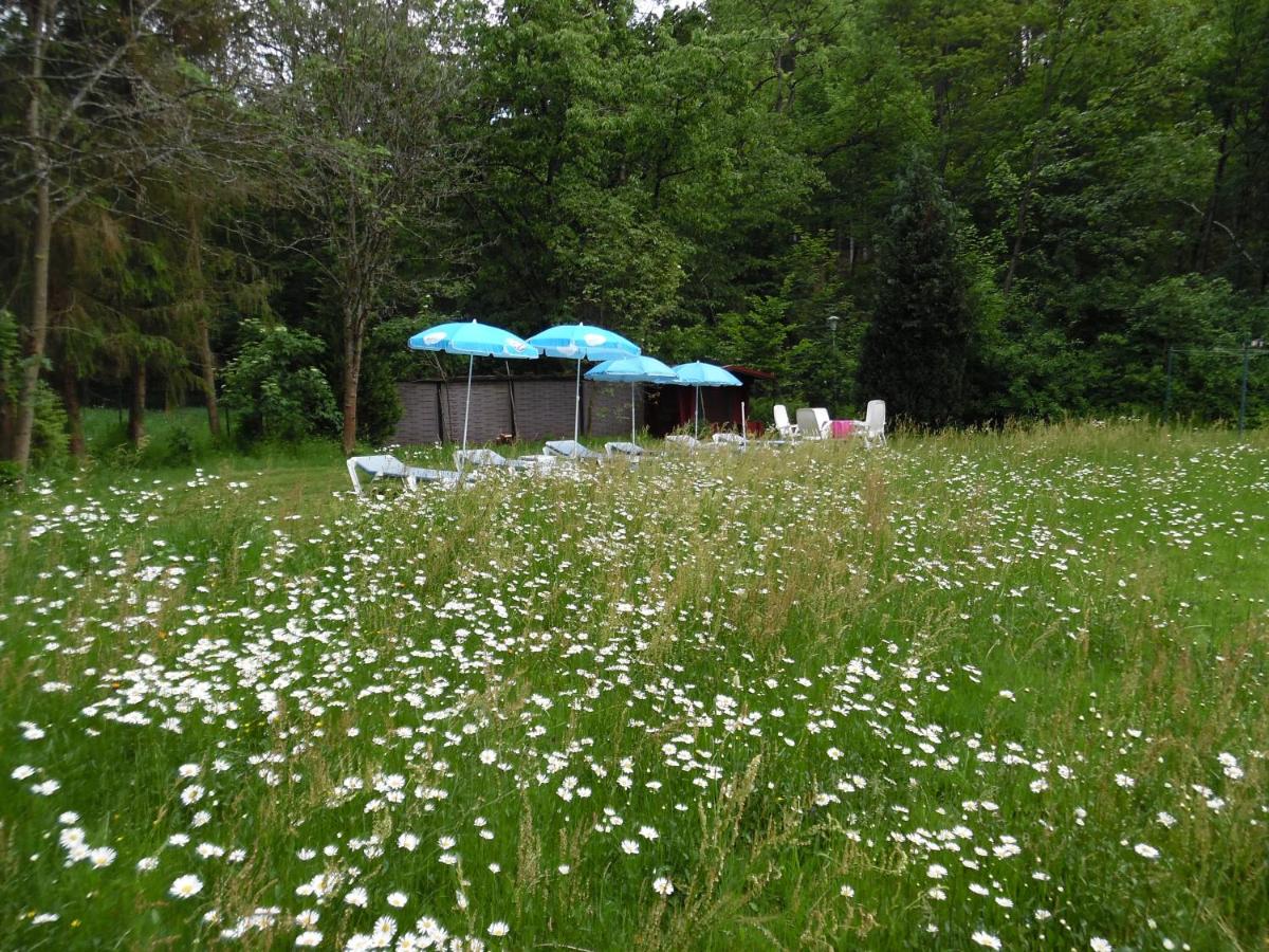 Ein Garten an der Unterkunft Wellness und Romantik Hotel Helmboldt