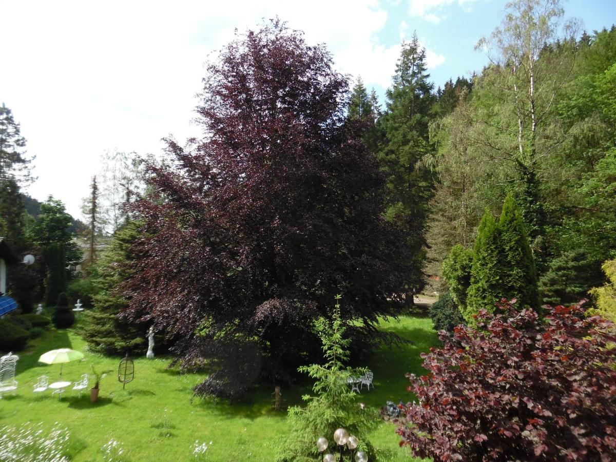 Ein Garten an der Unterkunft Wellness und Romantik Hotel Helmboldt