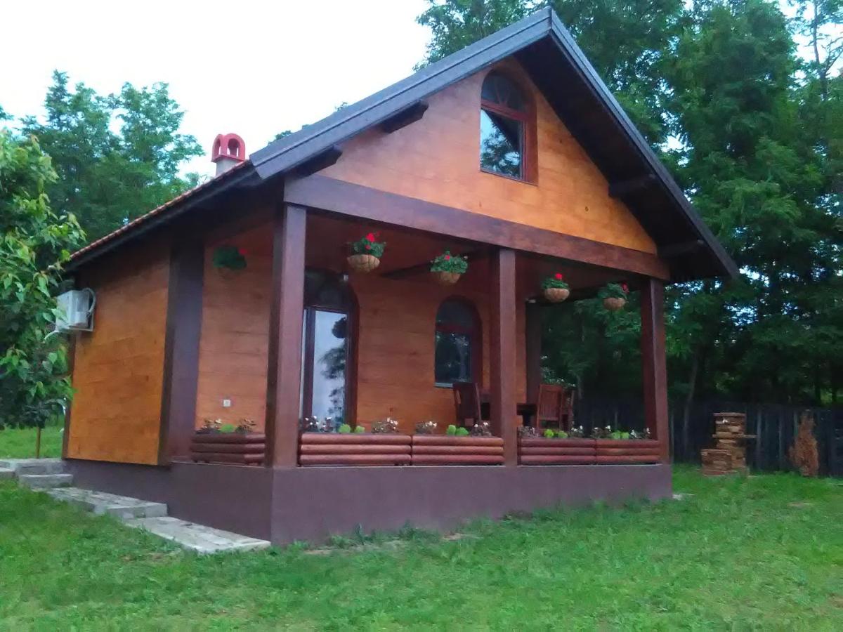 Carobni breg - Housity