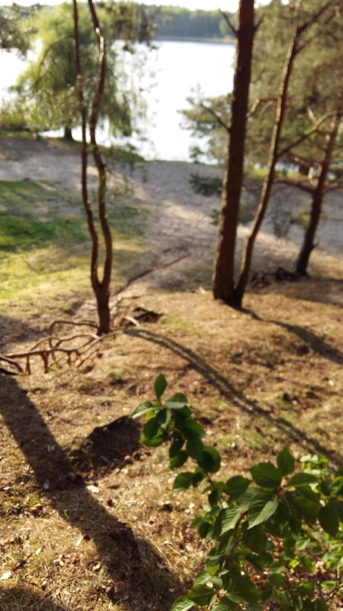 Natur-Freude-16 - Housity