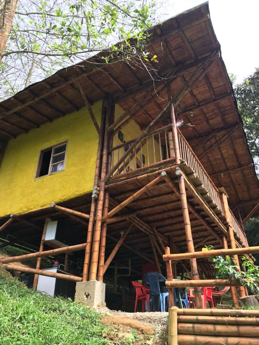 ESTACION PARAISO DE DANTAS - Housity
