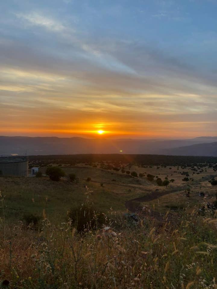 הצימר של אורנה - Housity