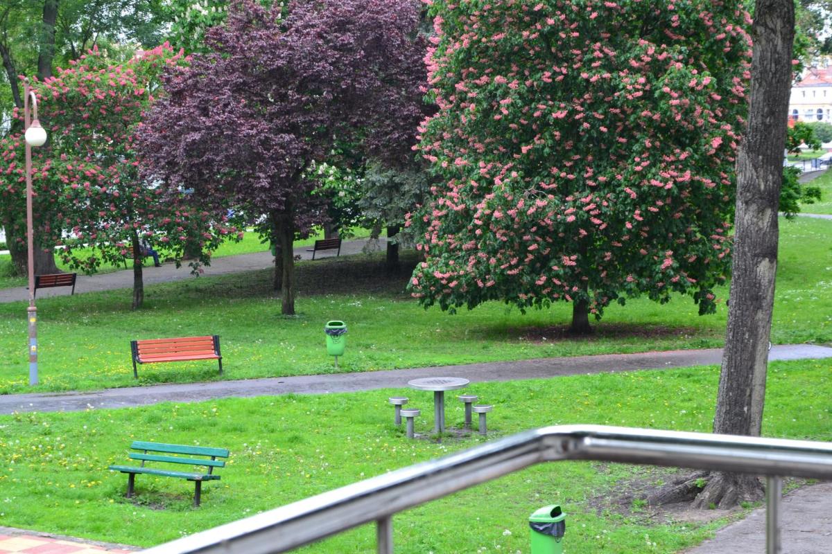 Apartament w Parku Planty - Housity