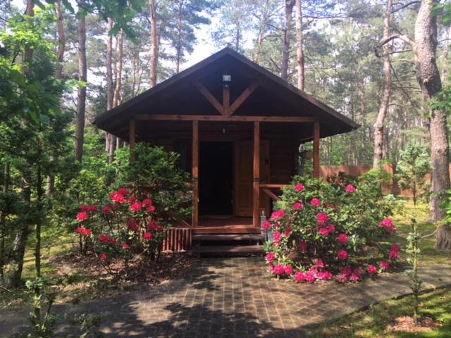 Dworek w lesie - nowy obiekt - Housity